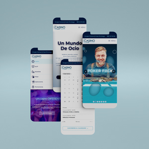 web ideal gallego